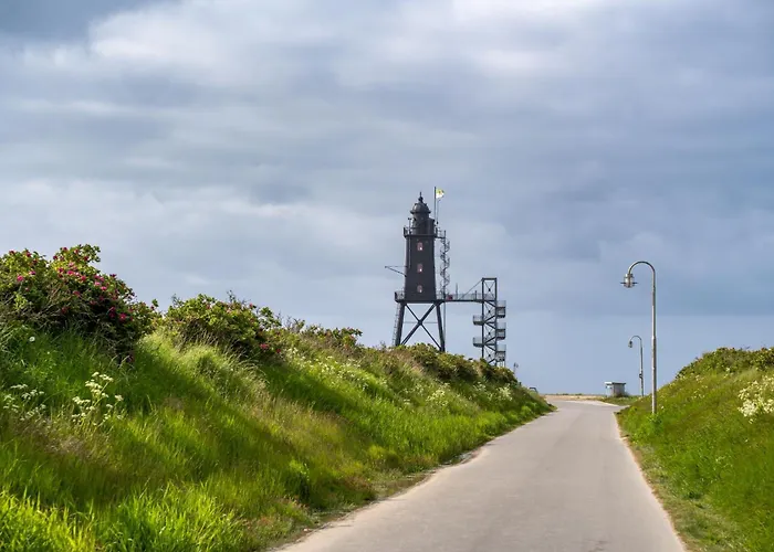 Medemsand 01 دورم نيوفيلد